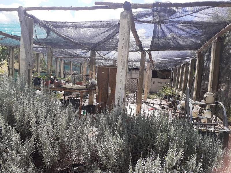 0 Bedroom Property for Sale in Riversdale Western Cape